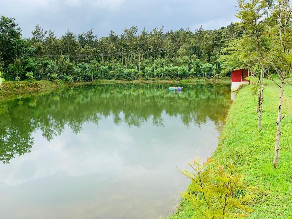 Green Castle Daire Gonikoppal Dış mekan fotoğraf