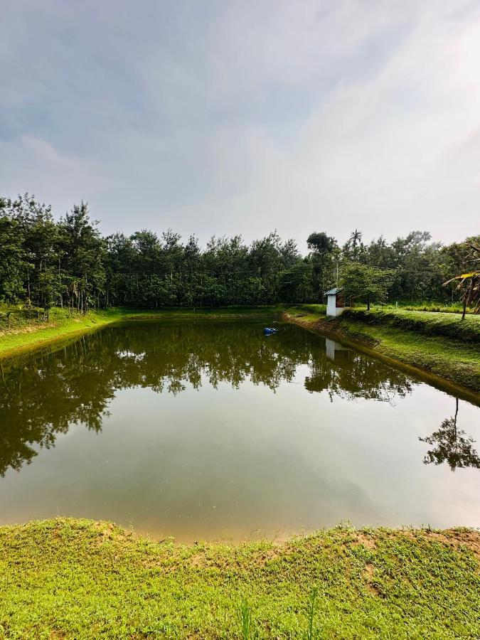 Green Castle Daire Gonikoppal Dış mekan fotoğraf